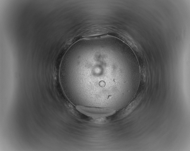 X0000116390374200912091439