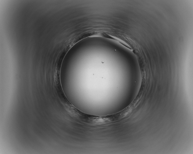 X0000116390379200912091439