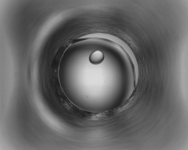 X0000116390382200912091439