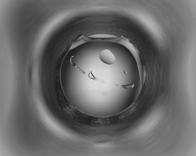 X0000116390383200912091439