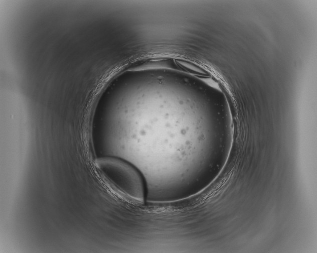 X0000116390385200912091439