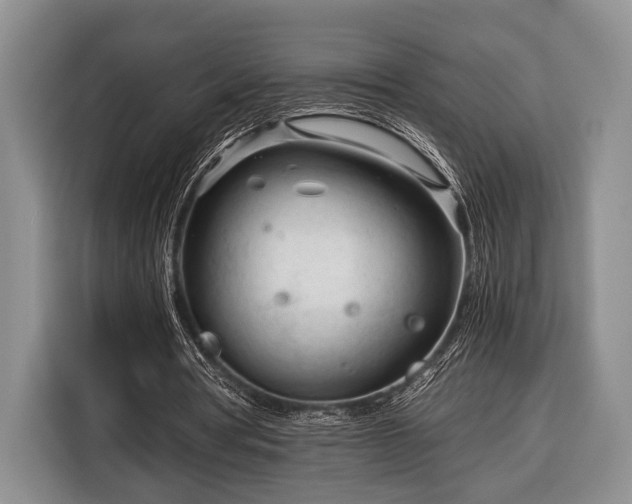X0000116390386200912091439