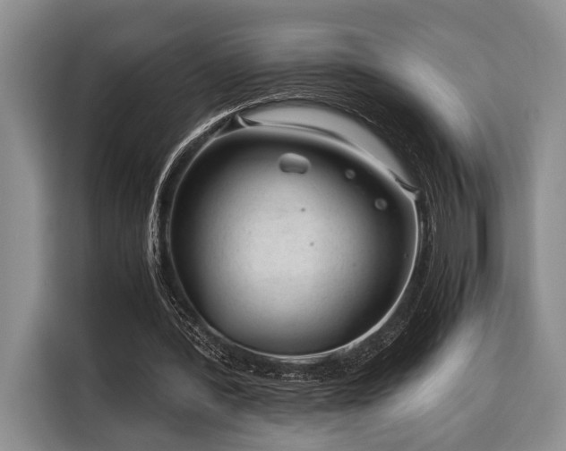 X0000116390388200912091439