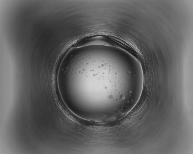 X0000116390389200912091439