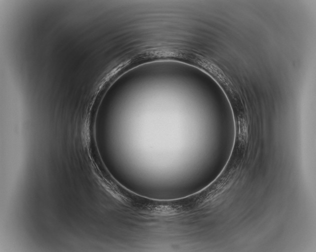 X0000116390390200912091439