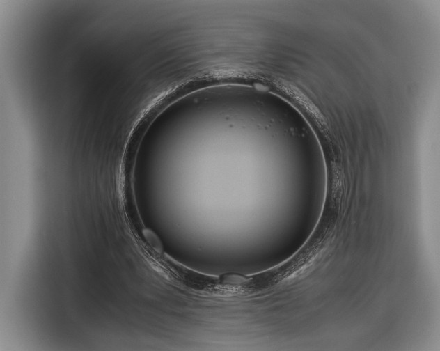 X0000116390391200912091439