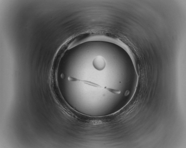 X0000116390392200912091439