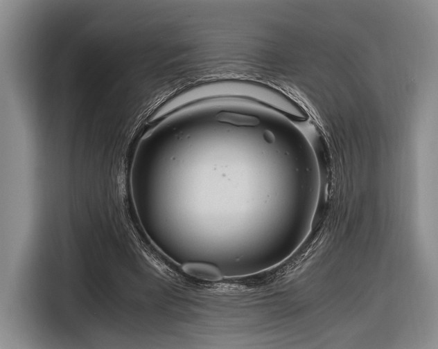 X0000116390393200912091439