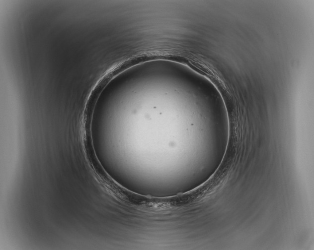 X0000116390395200912091439