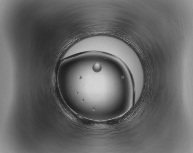 X0000116390397200912091439