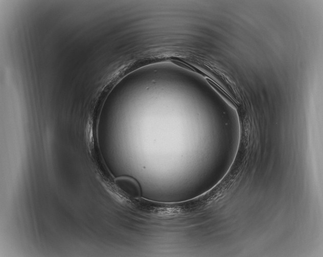 X0000116390398200912091439