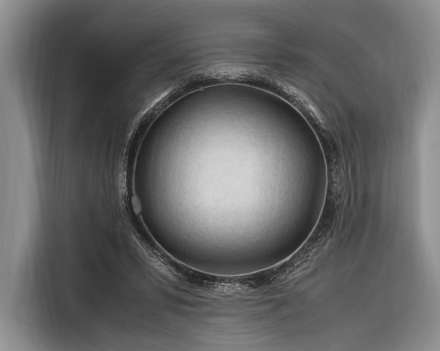 X0000116390399200912091439