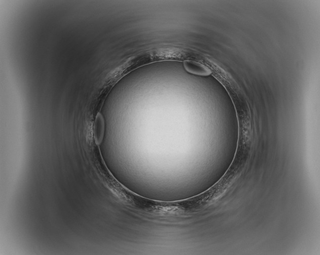 X0000116390401200912091439