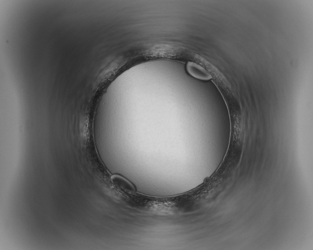 X0000116390403200912091438