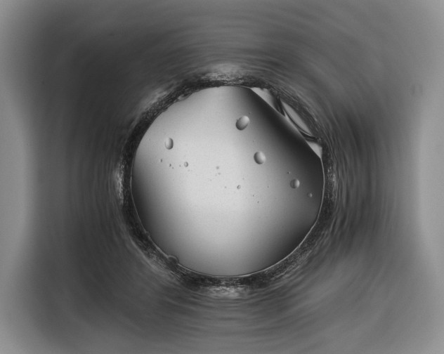 X0000116390404200912091438