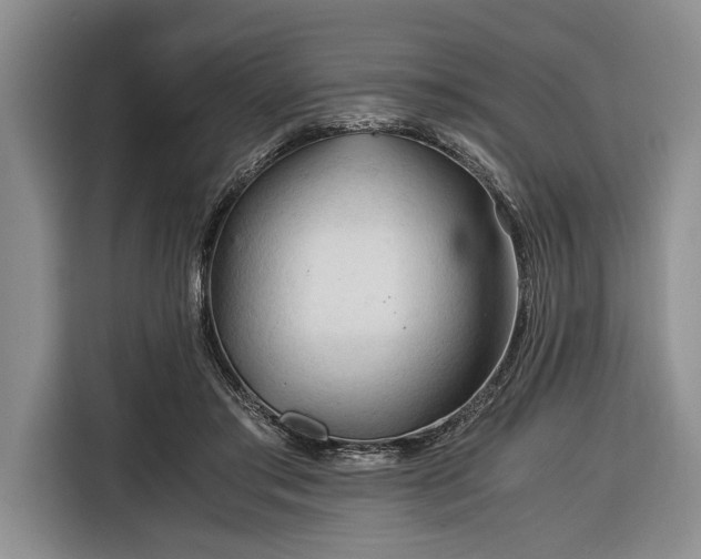 X0000116390405200912091438