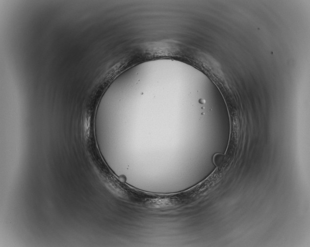 X0000116390406200912091438