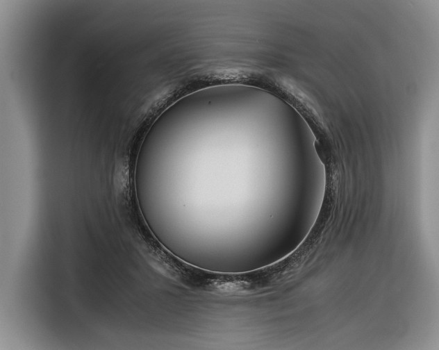 X0000116390407200912091438