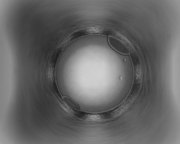 X0000116390409200912091438
