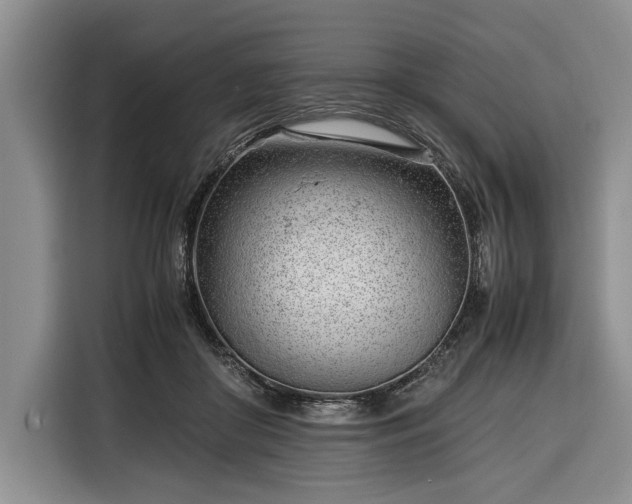 X0000116390410200912091438