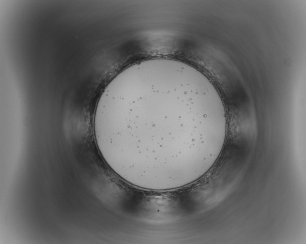 X0000116390411200912091438