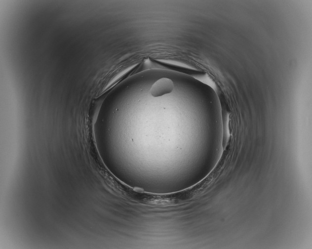 X0000116390413200912091438