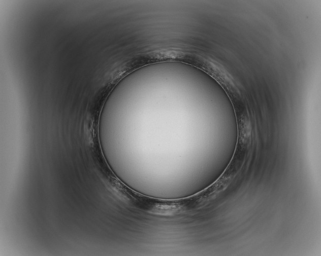 X0000116390414200912091438