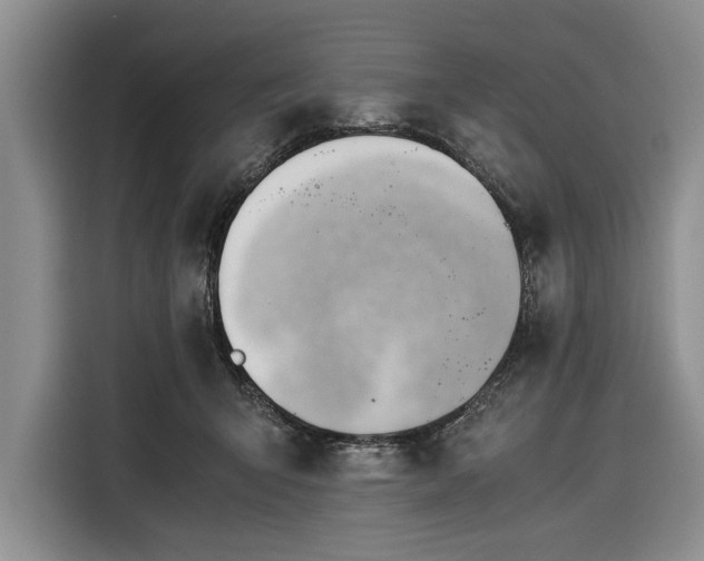 X0000116390415200912091438