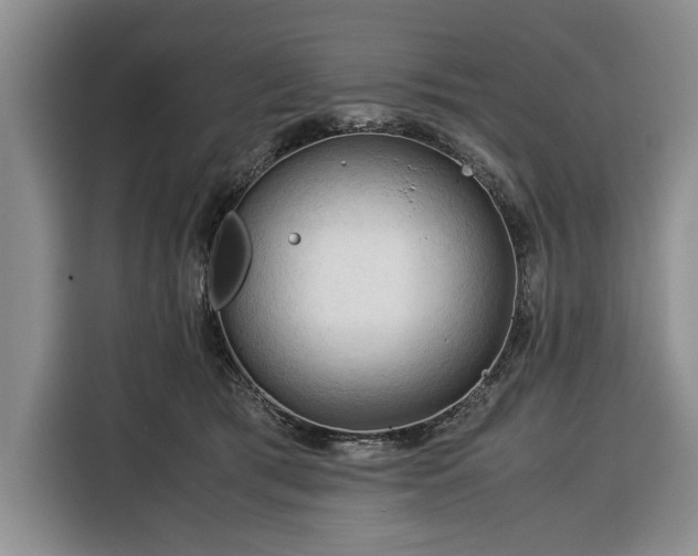 X0000116390417200912091438