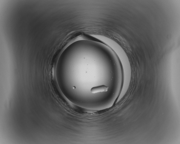 X0000116390421200912091438