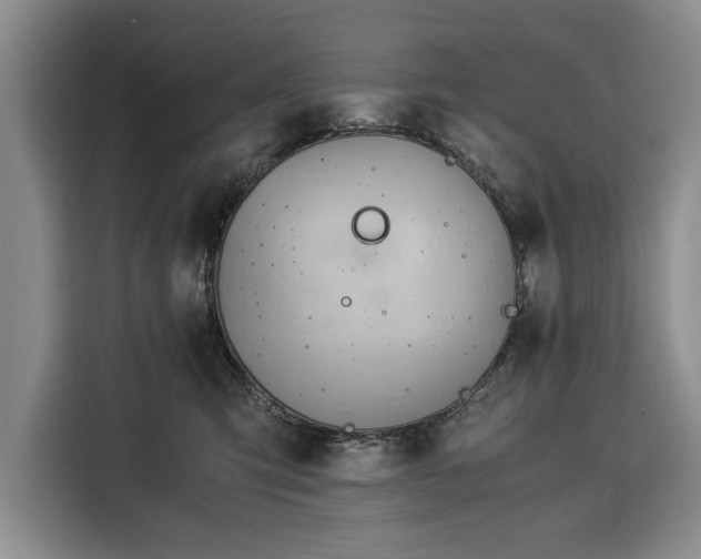 X0000116390423200912091438