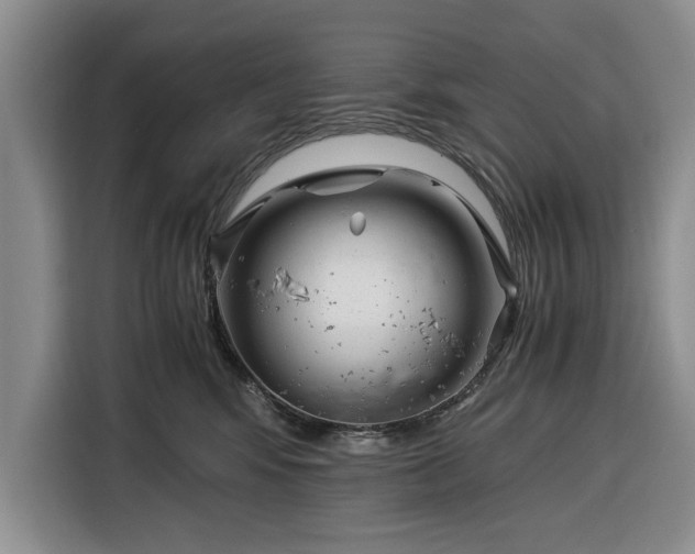 X0000116390424200912091438