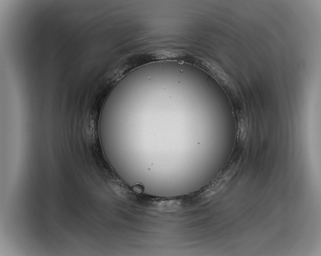 X0000116390426200912091438