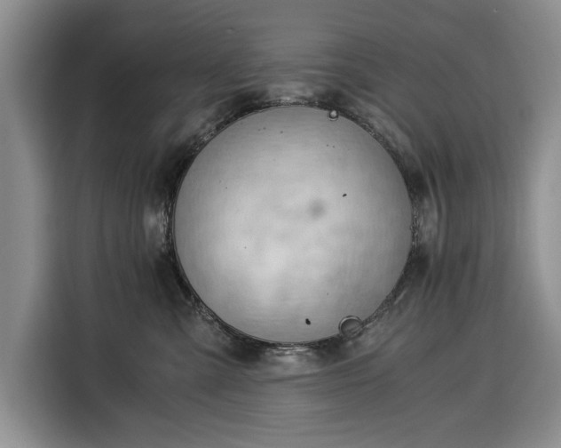 X0000116390427200912091438