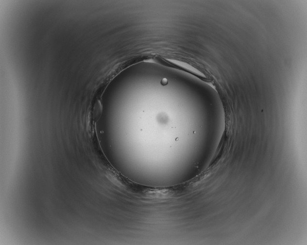 X0000116390428200912091438