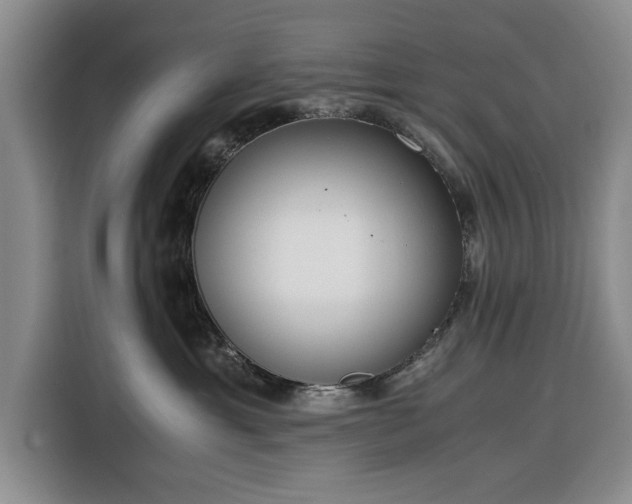 X0000116390429200912091438