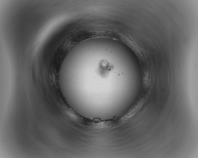 X0000116390430200912091438