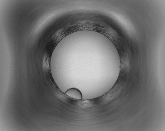 X0000116390431200912091438