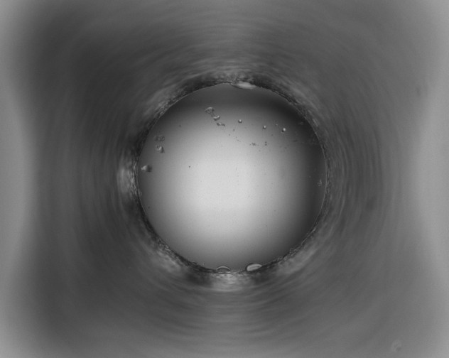 X0000116390432200912091438