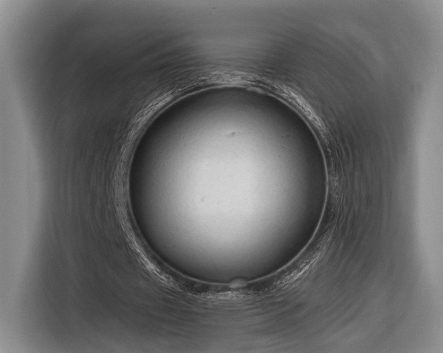 X0000116390433200912091437