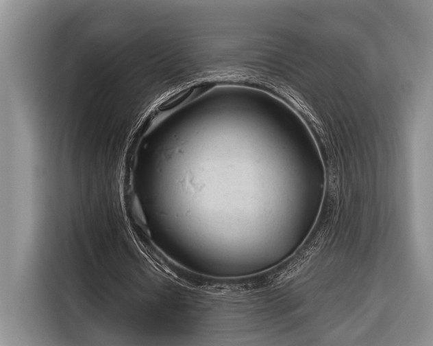 X0000116390434200912091438
