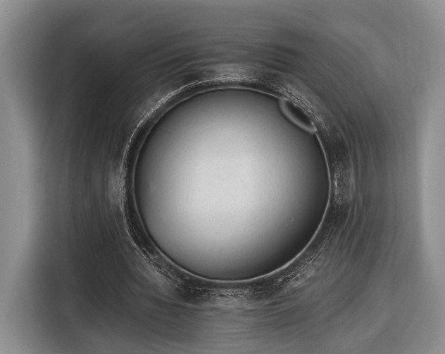 X0000116390436200912091438