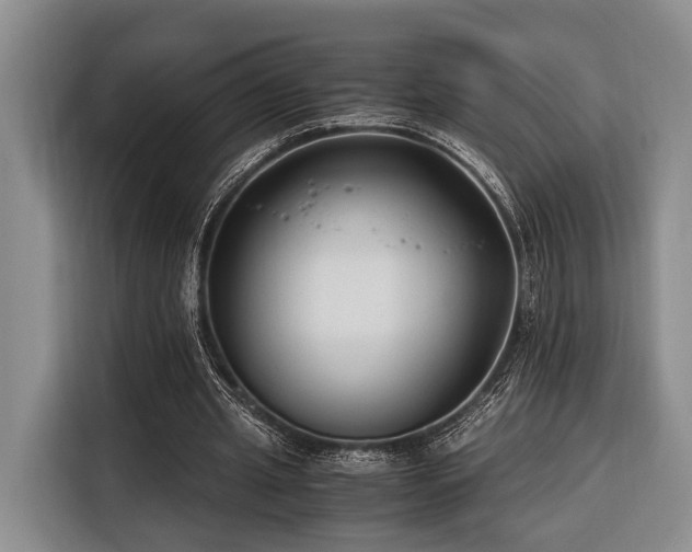 X0000116390437200912091438