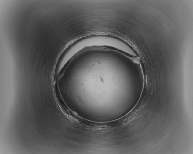 X0000116390438200912091438