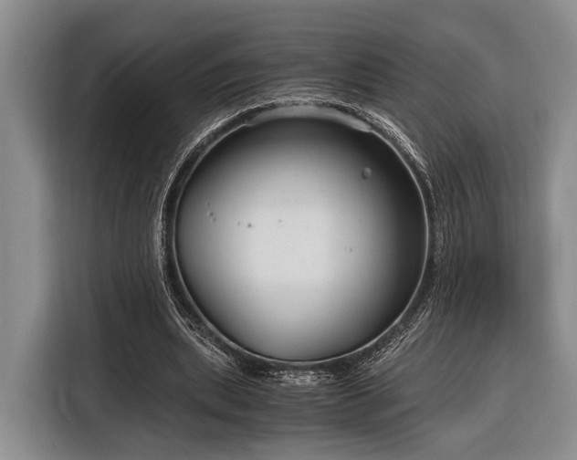 X0000116390439200912091438