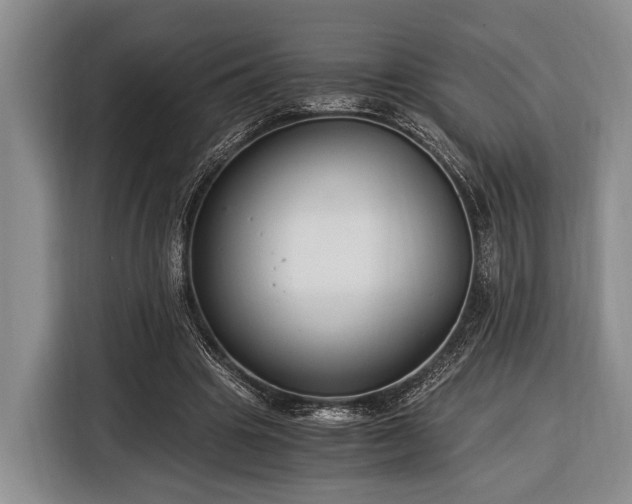 X0000116390441200912091438