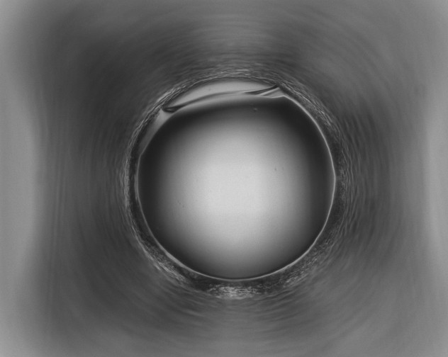 X0000116390442200912091438