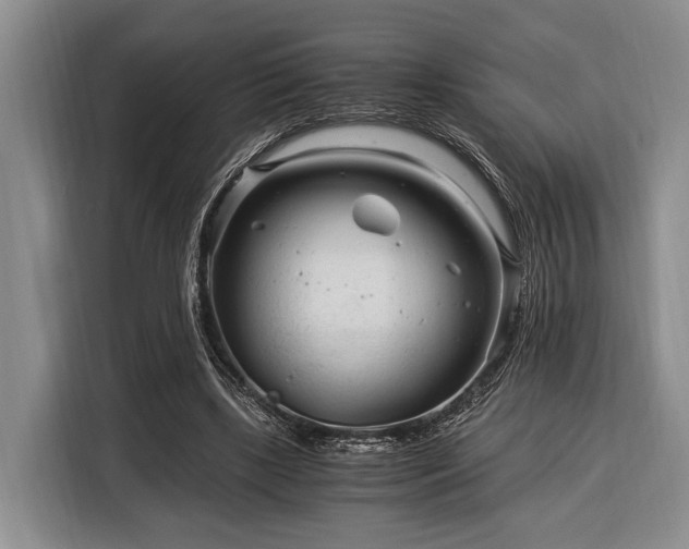 X0000116390443200912091438