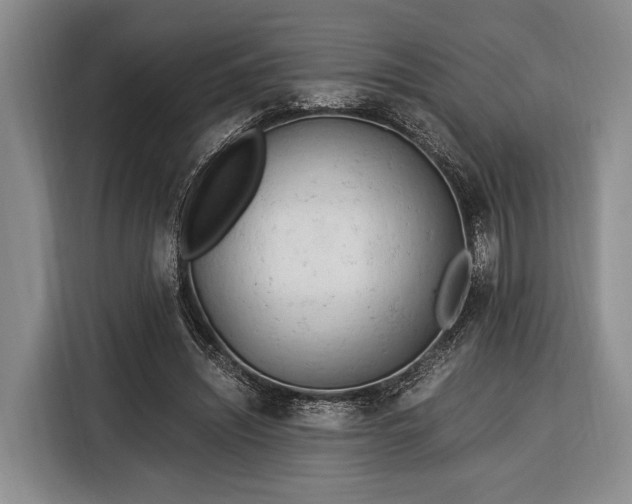 X0000116390444200912091438