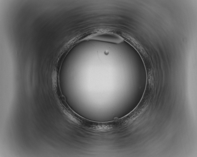 X0000116390445200912091438